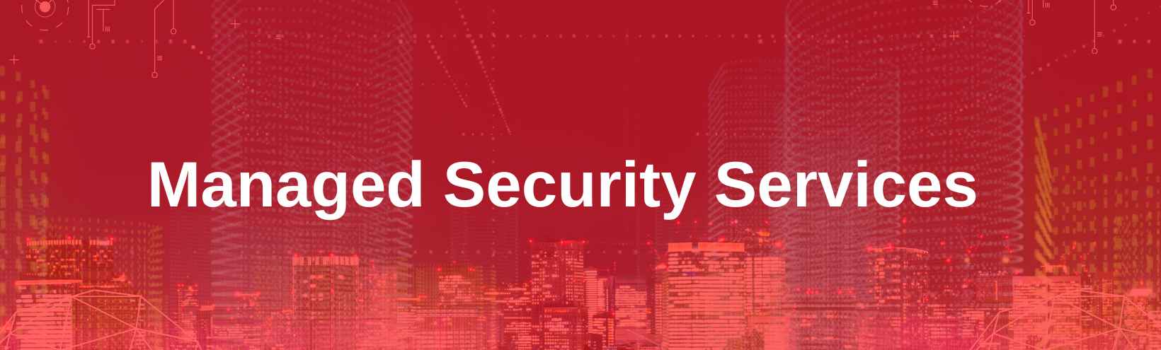 Managed Security Services