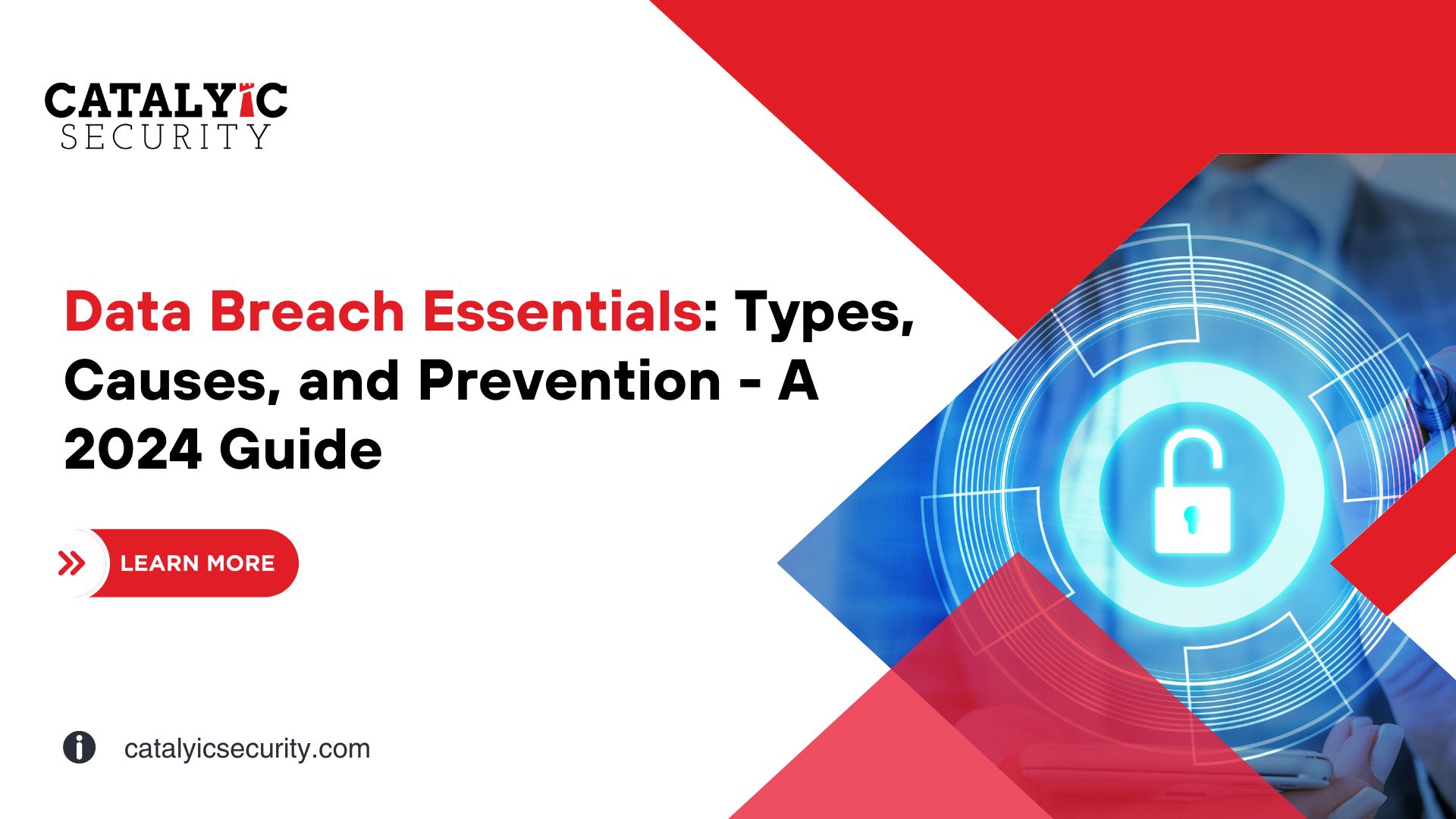 Data Breaches Types, Causes, and Impacts A 2024 Guide