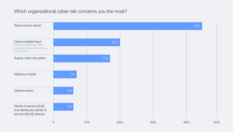 Which Organizational Cyber Risk concerns you the most